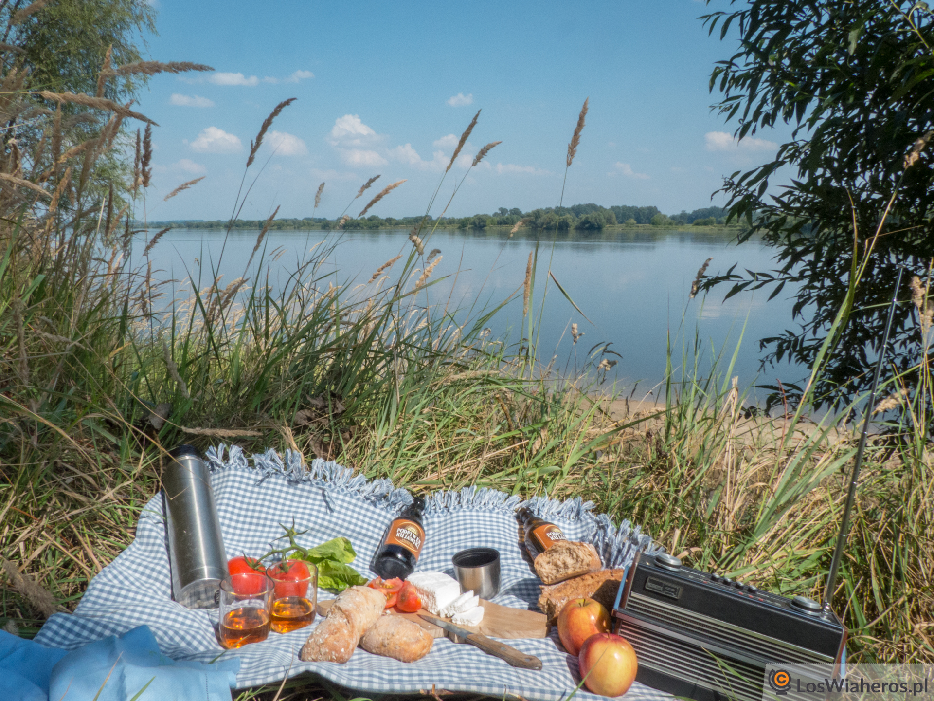 Dolina Dolnej Wisły i wszystko gra!