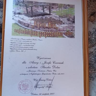 250279598 937438923525868 5713491812206429550 N