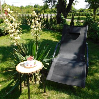 362295221 955551265524761 6081256170973127381 N