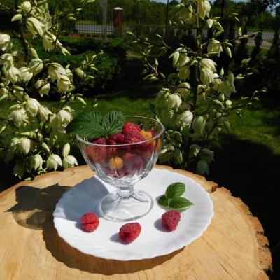 362312267 716260346932187 2677633775979808219 N