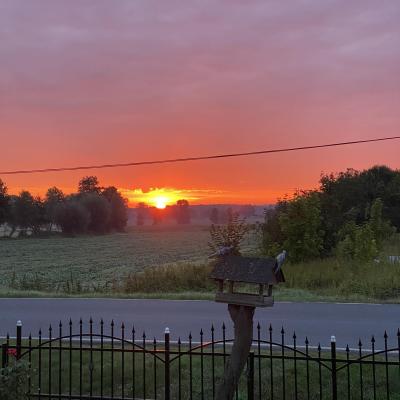 413411256 898518861811234 703415698839448941 N