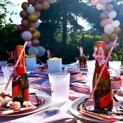 413898045 746918674029277 5292314692315203476 N