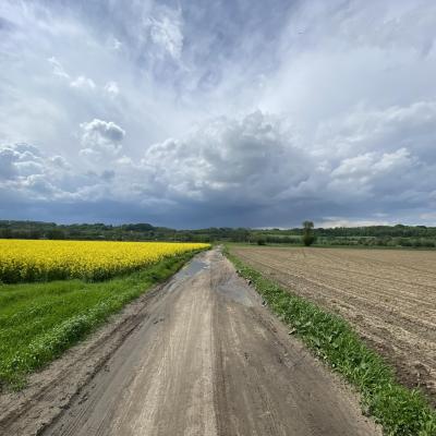 414041607 1066336554603551 1053933496303529853 N