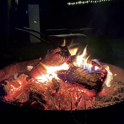 414109446 1547300969365757 1667672448436084460 N